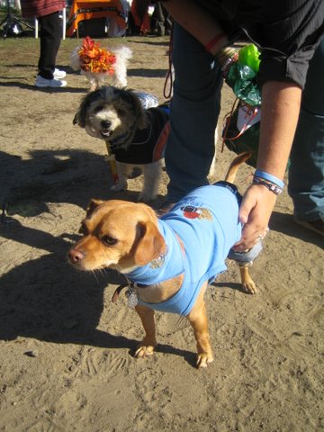halloween 2010 046
